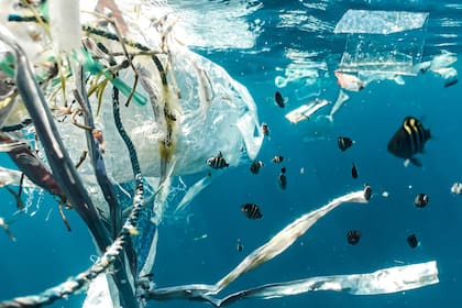 Se estima que hay 3,4 millones de toneladas de plásticos flotando en los océanos, pero tiene que haber muchísimas más en el fondo o ingerido por animales marinos