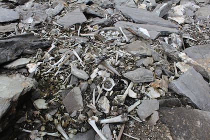 Se estima que hay alrededor de 500 cadáveres en el lago Roopkund