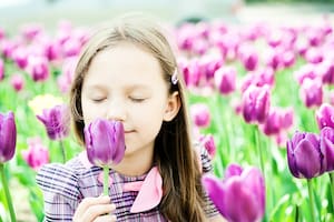 Recuperar la sonrisa con micromomentos de alegría
