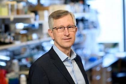 Se estima que son la causa de más del 90% de la mortalidad por esta patología; aunque advierten que queda mucho por investigar, los científicos suman piezas a este complejísimo rompecabezas