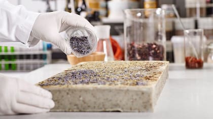 Se estudian las vinculaciones entre los fertilizantes y los bioestimulantes