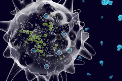 Se ha descubierto que los virus gigantes suelen ser objetivos de virus caníbales, es decir, virus que parasitan otros virus