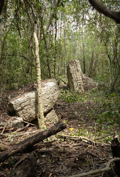 Se han encontrado dos monumentos mayas en una zona remota de la península de Yucatán, donde un equipo de arqueólogos se puso en marcha para localizar un yacimiento que se había detectado en unas imágenes aéreas