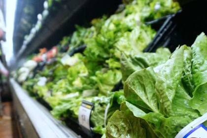 Se han reportado contagios en Estados Unidos y Canadá.