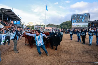 "Se hizo desear; es como que se te va la adrenalina después de tanto esfuerzo, tantos años de estar siempre muy cerca y que no se diera. Hoy se dio. La cabaña tiene 20 años”, expresó el dueño