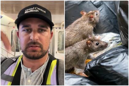 Se hizo famoso por publicar videos de ratas en Nueva York