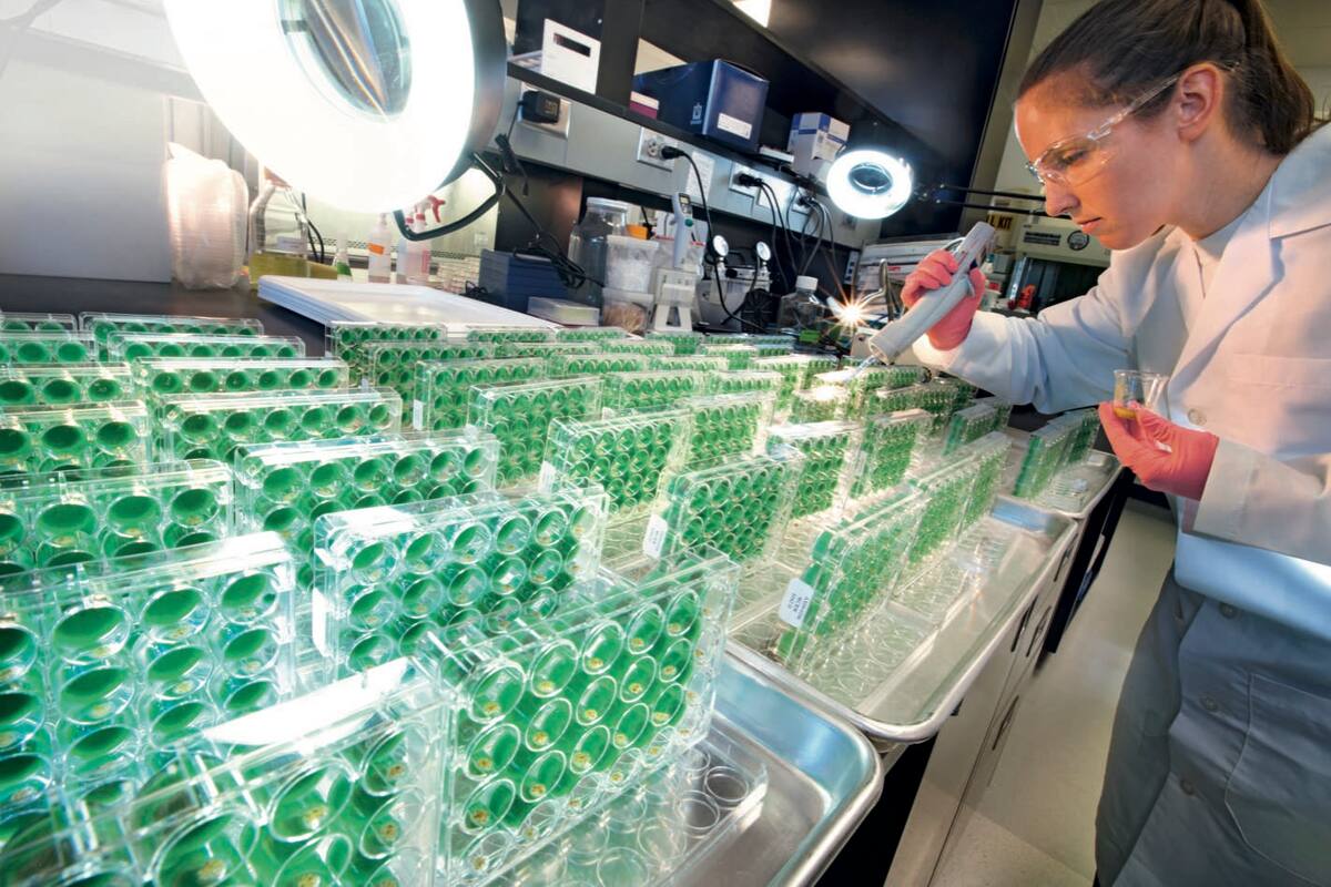 Se imponen nuevas tecnologías para tener productos a campo con mayor precisión