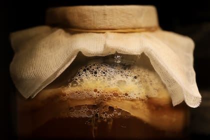 Se le atribuyen beneficios sobre la salud digestiva, el sistema inmune y el metabolismo por su efecto probiótico y antioxidante
