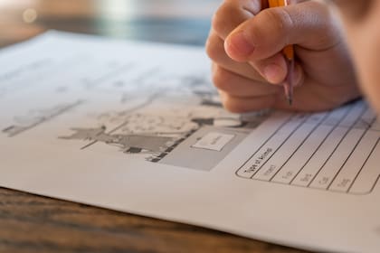 Se les hicieron algunas pruebas a los voluntarios para determinar los resultados de su CI
