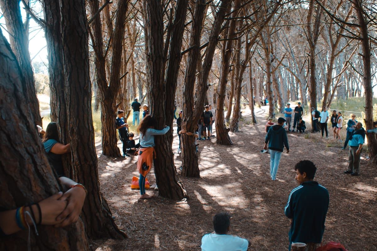 Se llama Bosque Energético, aseguran que los árboles tienen una vibra especial; ovnis, duendes y más teorías