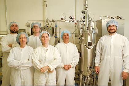 Se llama Fusarium venenatum o Kernel, y por sus propiedades organolépticas neutras puede agregarse a cualquier preparación, dulce o salada; lo logró un equipo del INTI