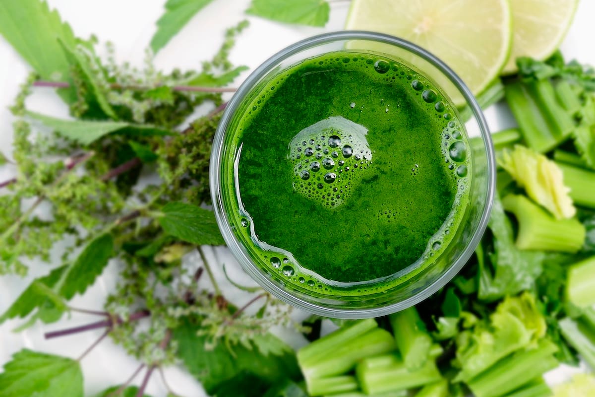 Se lo apoda 'batido verde' por su color predominante que se debe al alto contenido en clorofila