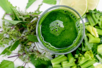 Se lo apoda 'batido verde' por su color predominante que se debe al alto contenido en clorofila