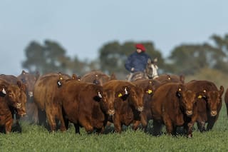 El RIMI un alivio fiscal clave para el agro