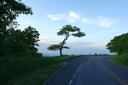 Se mudaron a una zona rural de Virginia y disfrutan de la tranquilidad de la zona