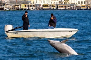 Se multiplican las medidas de seguridad para que no sea herido