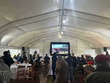 Se negociaron 1952 cabezas destinadas a mercados externos en una jornada marcada por la expectativa de una mayor actividad exportadora