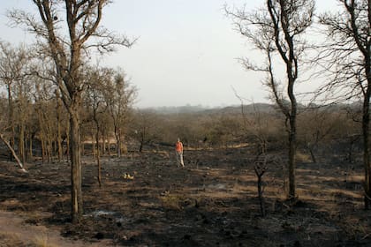 "Se nos quemó todo y yo me sentía desahuciada", expresó Kai Pacha respecto del incendio de 2009 que arrasó con la reserva de su familia