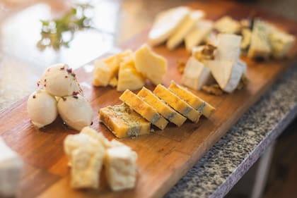 Se podrán encontrar variedades como: sardos, cremosos, port salut, mozzarella, gouda, reggianito, provoleta, burrata, brie, camembert, cheddar y Lincoln, entre otros.