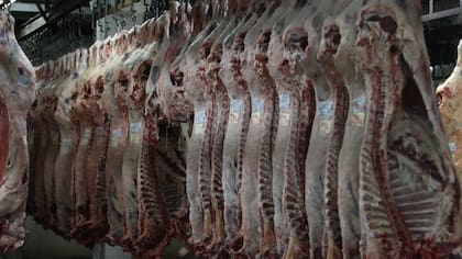 La ampliación de la cuota de exportación a 100.000 toneladas fortaleció la presencia de la carne argentina en Estados Unidos, un mercado que hoy representa cerca de una cuarta parte de las ventas externas del sector