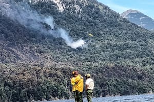 Se conoció la cantidad de hectáreas arrasadas por el fuego en el Parque Nacional Los Alerces