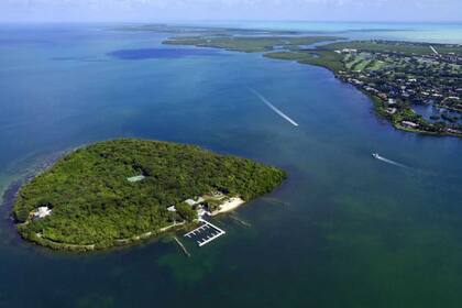Se prevé implementar tecnologías innovadoras en Florida para prevenir, detectar, limpiar o mitigar las floraciones de algas nocivas