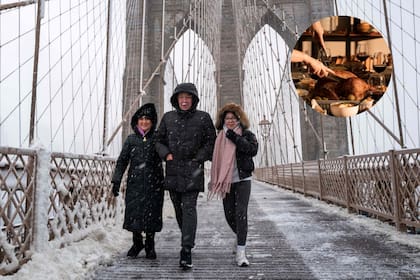 Se prevén temperaturas más frías de lo normal el Día de Acción de Gracias