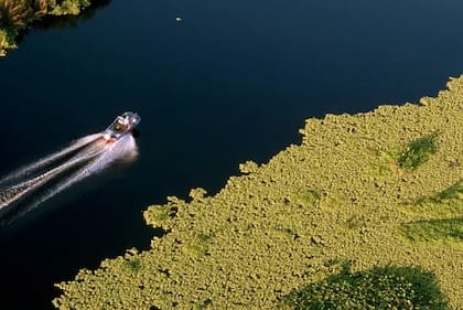 Se programó una quema controlada para la restauración del Lago Okeechobee