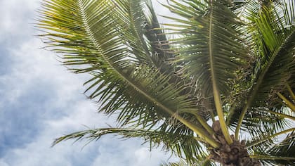 Se pronostica una jornada agradable en Florida este miércoles 23 de abril