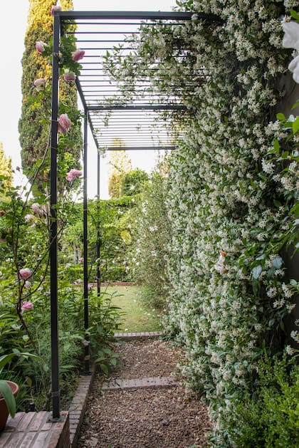 Se propuso un paso rápido de servicio entre la pileta y la cocina de la casa, con una pérgola entre jazmines de leche y rosales trepadores ‘Pierre de Ronsard’