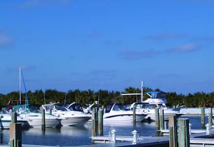 Se puede acceder a Caladesi Island State Park por medio de botes o un ferry que sale cada una hora