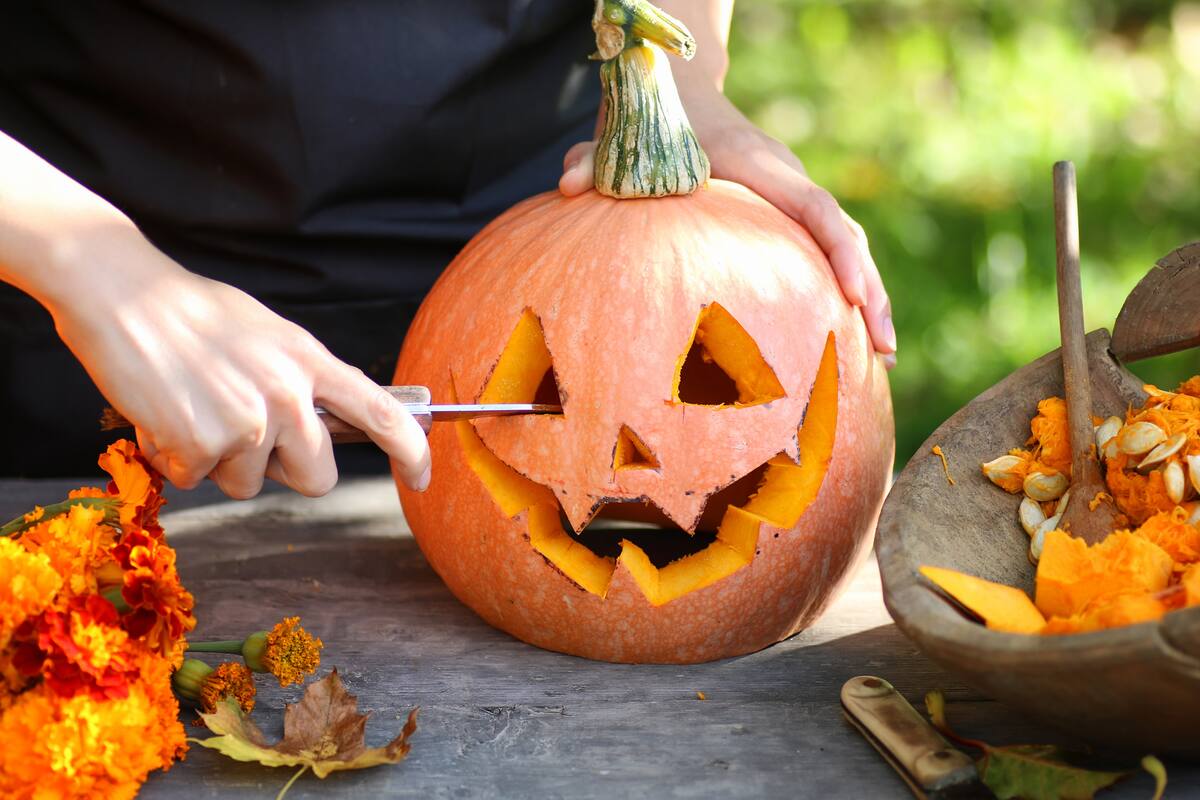 Se puede pintar la calabaza para luego tallarla o usar una plantilla para un diseño creativo en Halloween 2025