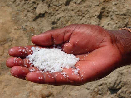 Se puede usar cualquier tipo de sal, salvo la ultraprocesada