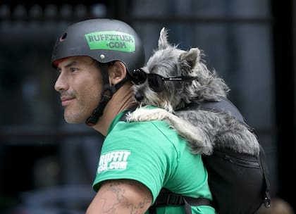 Se puede usar para realizar paseos al aire libre con los perros o gatos