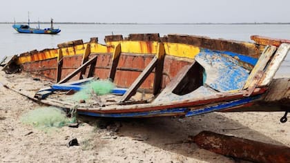 Se pueden estar a la deriva en el Atlántico unos seis meses hasta llegar al Caribe.