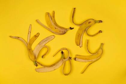 Se pueden usar para platos dulces y salados.Foto: Pexels.