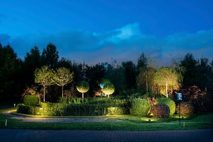 Se pueden utilizar luces ascendentes para resaltar canteros o árboles.