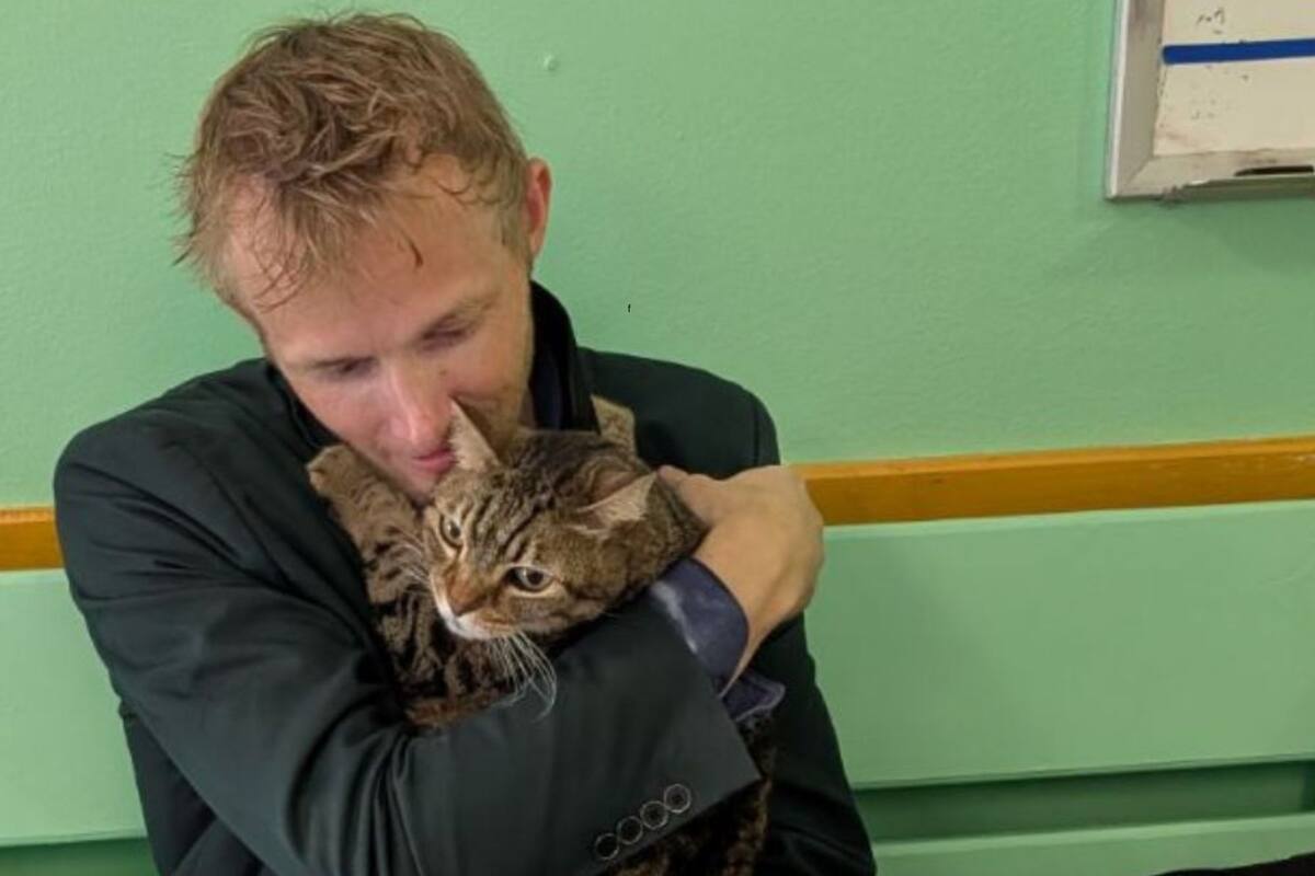 Se quedó sin hogar, dejó a su gato en un refugio y el reencuentro causó furor (Captura: Instagram @austinpetsalive)