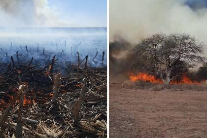 Se quemaron 120 hectáreas de un lote de rastrojo de maíz y 200 hectáreas de monte
