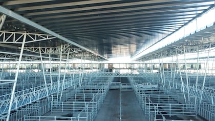 Se realizaron 55.000 metros cuadrados de pisos de hormigón para la hacienda, unas cuatro hectáreas de techo de acero para cubrir los 450 corrales de venta y los 2570 metros de pasarelas aéreas. Asimismo, se concluyeron los trabajos de 17 atracaderos curvos, 300 corrales galvanizados en el sector de carga y descarga y las 16 básculas para pesar los animales