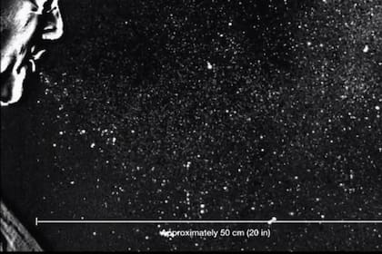 Se realizó en slow motion la grabación de cómo funciona un estornudo y hasta dónde pueden llagar las partículas patógenas expulsadas en este proceso fisiológico