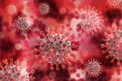 Se realizó un estudio sobre cientos de muestras de coronavirus para analizar las variantes