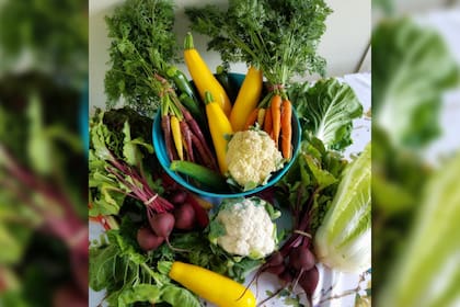 Se recomienda agregar verduras a la diesta diaria (Foto Pexels)