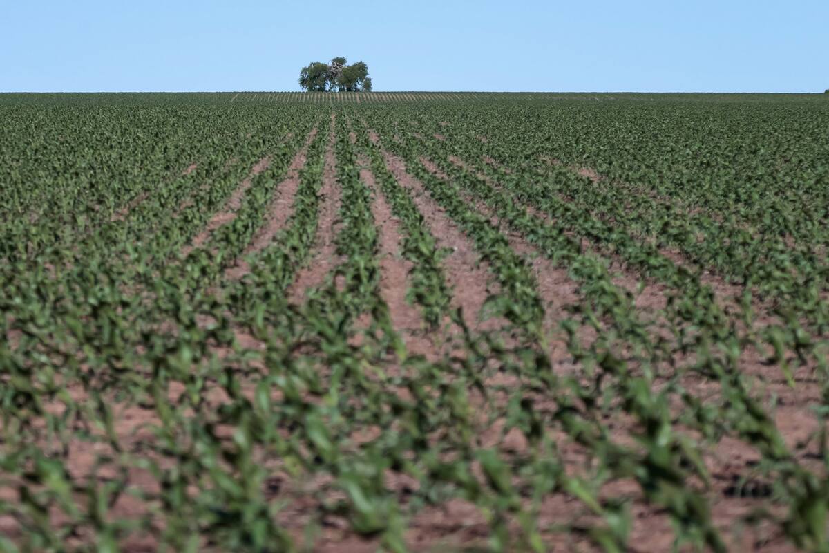 Se recomienda trabajar sobre buenas prácticas de manejo