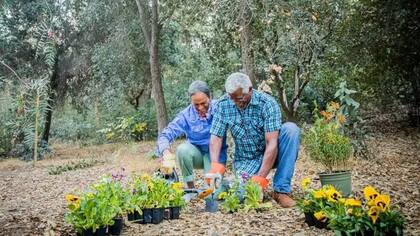 Se recomiendan actividades como la jardinería para mejorar su fuerza y estado físico general.