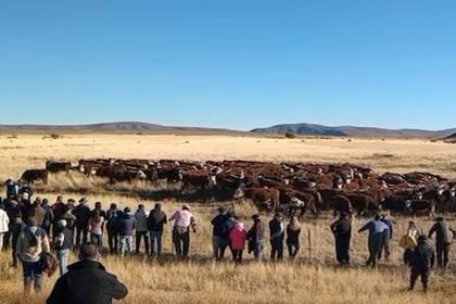 Se recorrieron ocho establecimientos de las localidades de Sarmiento, Gobernador Costa y Esquel de la provincia Chubut