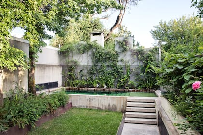 Se recreó el paisaje salvaje de la zona ribereña de Vicente López