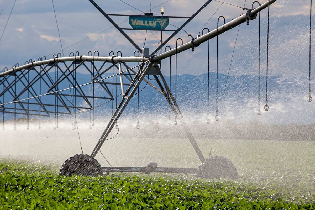 Se reduce significativamente la alícuota de IVA para la energía eléctrica utilizada en equipos de riego con destino al sector agroindustrial