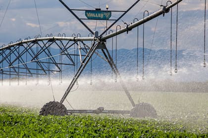 Se reduce significativamente la alícuota de IVA para la energía eléctrica utilizada en equipos de riego con destino al sector agroindustrial