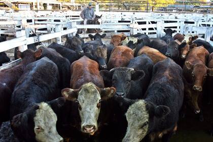 Se redujeron los envíos al Mercado de Liniers